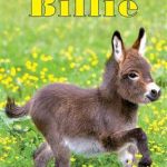 کتاب Billie Anna Gavalda