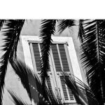کتاب Dimanches d'aout