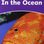 کتاب Dolphin Readers 4 - In the Ocean
