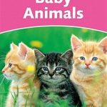 کتاب Dolphin Readers Starter - Baby Animals