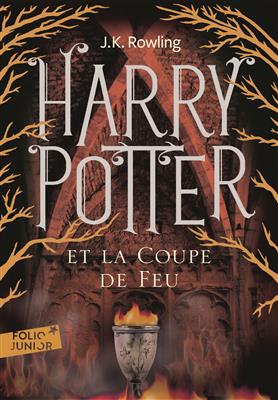 Harry-Potter-Tome-4-Harry-Potter-et-la-coupe-de-feu-1.jpg کتاب Harry Potter - Tome 4 - Harry Potter et la coupe de feu - تصویر 1