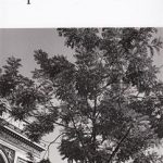 کتاب La Place de l'Etoile