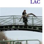 کتاب Lac