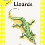 کتاب Nonfiction 4 Lizards