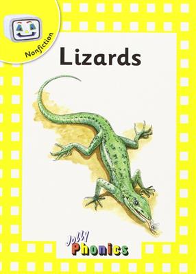 Nonfiction-4-Lizards.jpg کتاب Nonfiction 4 Lizards - تصویر 1