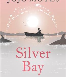 کتاب Silver Bay - Full Text