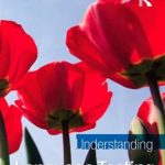 کتاب Understanding Language Testing