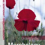 کتاب Understanding Morphology 2nd
