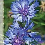 کتاب Understanding Syntax 3rd