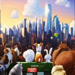 DVD - CD آموزشی the secret life of Pets