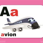 کتاب فلش کارت الفبای فرانسه L'Alphabet Cartes Image